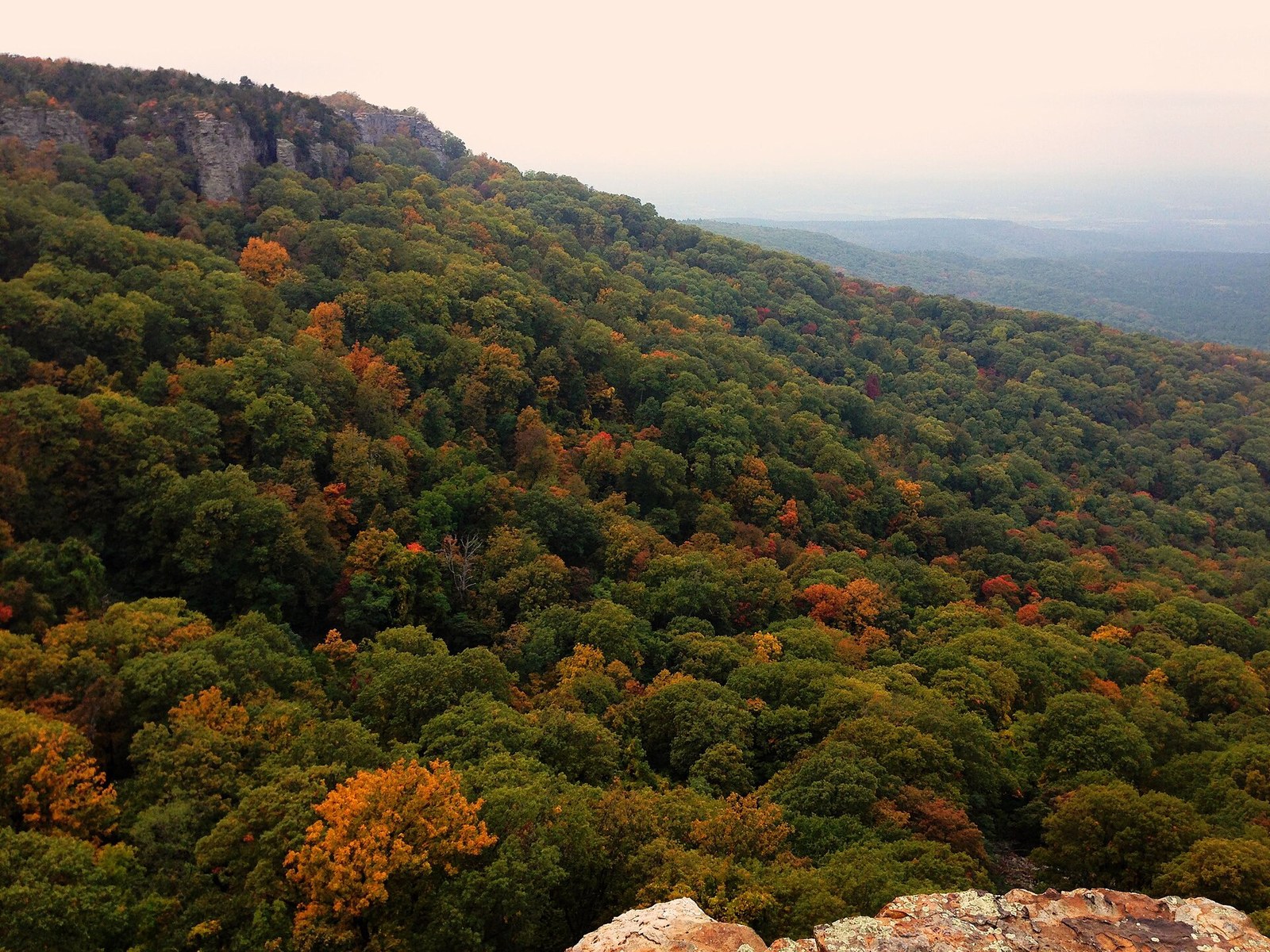 A wooded mountainside below a sandstone bluff, its trees turning orange and red among the green.