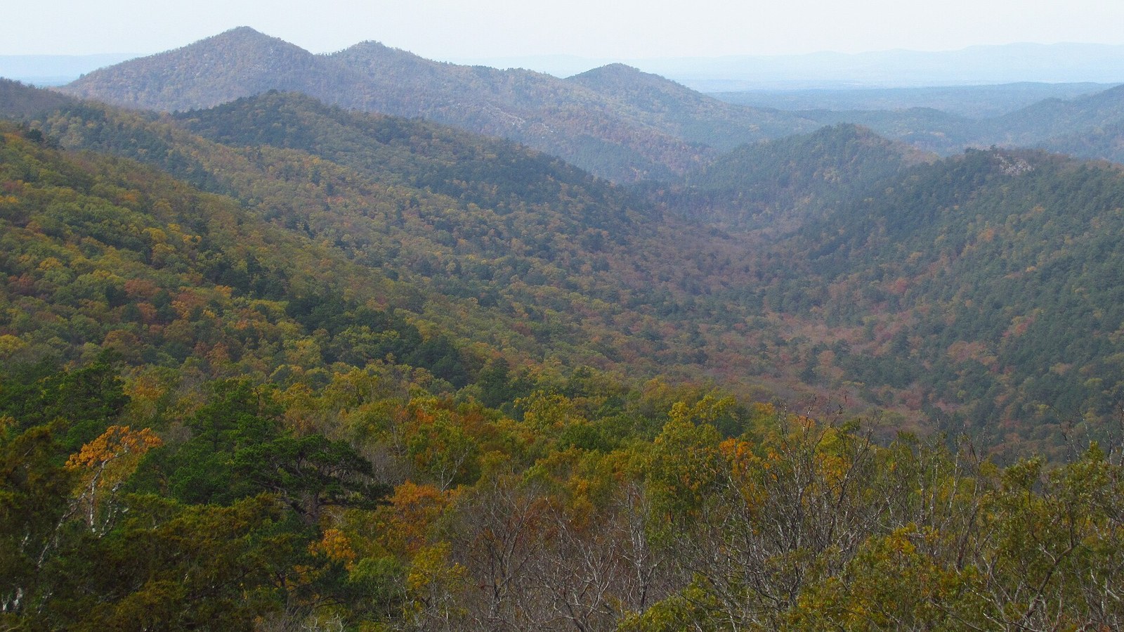 Wooded ridges of the Ouachita Mountains in yellow, orange and green under a hazy sky.