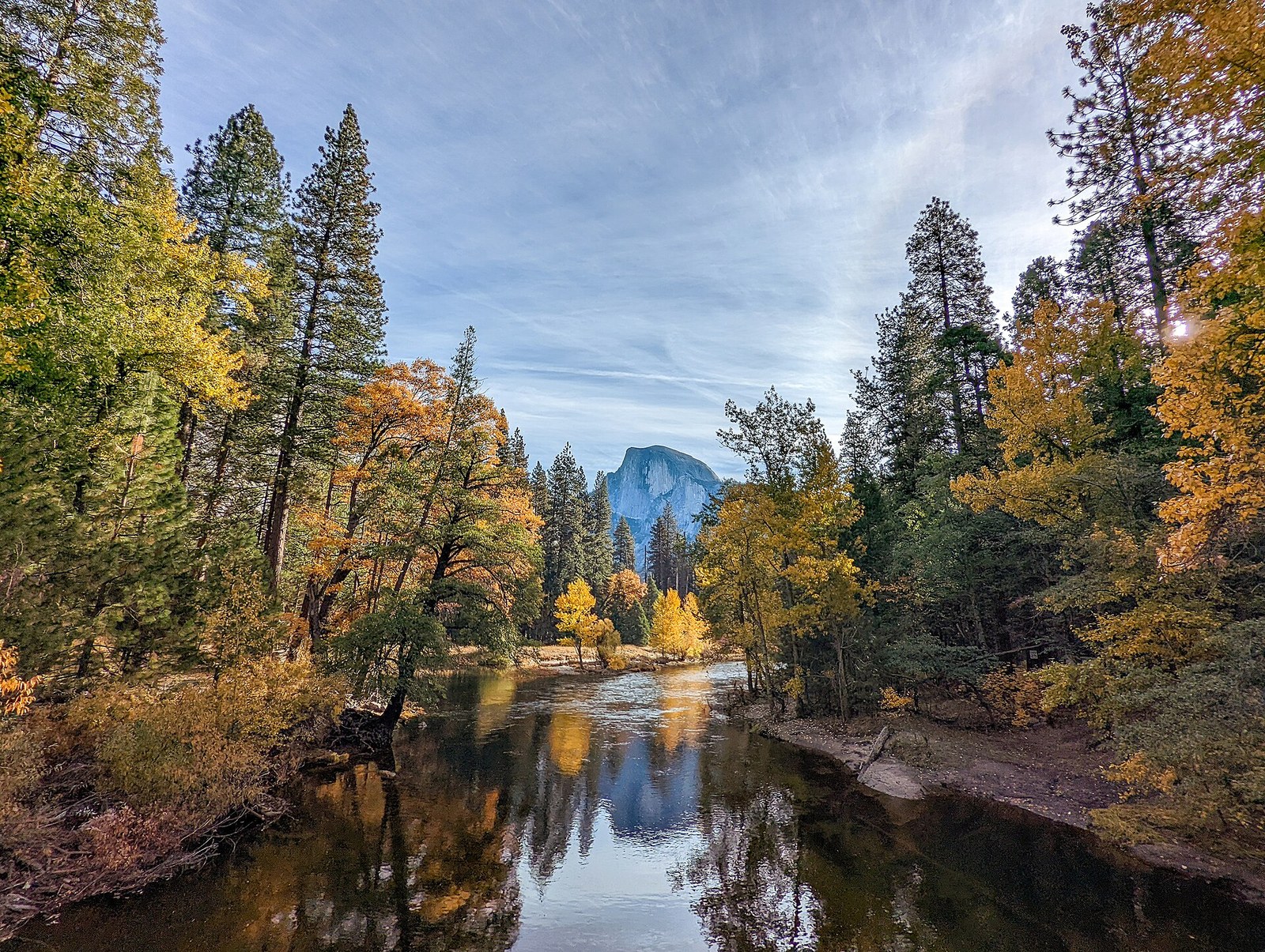 The Merced River flowing between maples and cottonwoods in gold, with Half Dome in the distance.