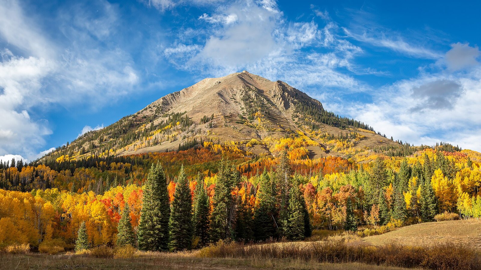 A broad, bare-topped mountain above slopes of gold and orange aspen mixed with dark evergreens, under a blue sky with thin clouds.