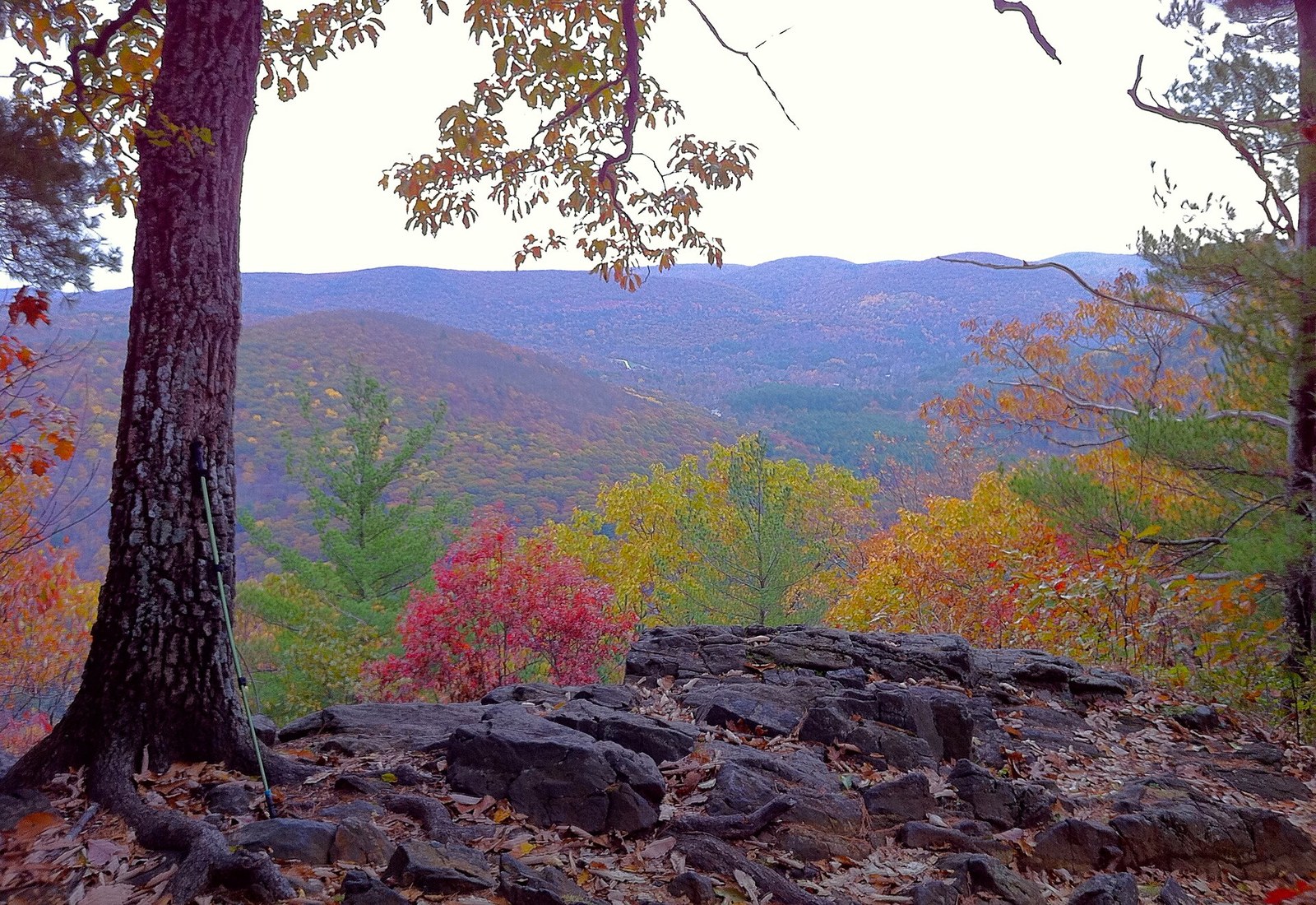 Blue ridges beyond a valley, seen from a rock ledge through red, orange and yellow leaves.