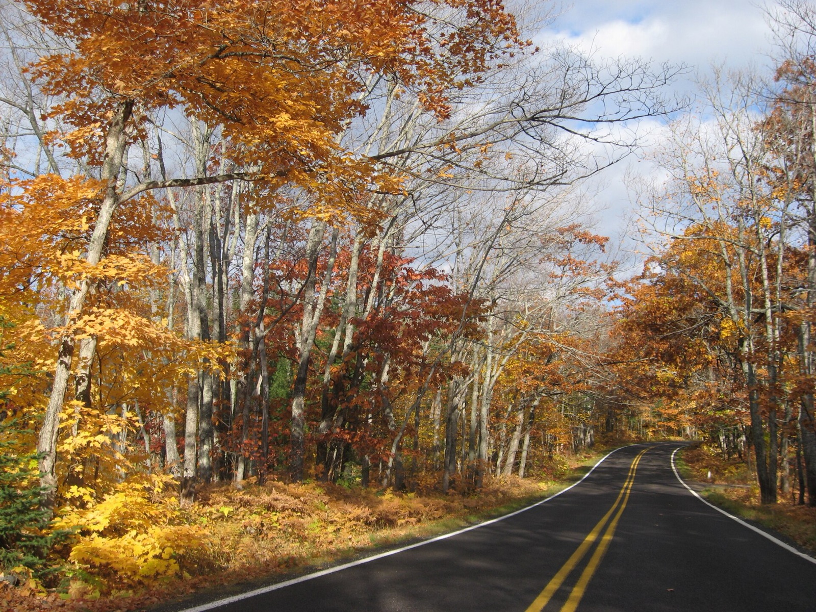 A road through a hardwood forest near Copper Harbor on Michigan's Keweenaw Peninsula in mid-October, the leaves gold and rust and many branches already bare.