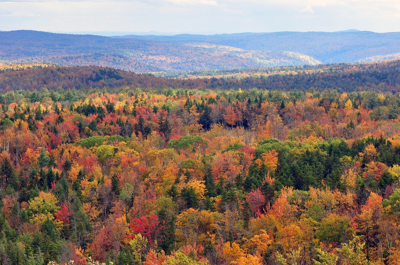 Wooded hills in full color seen from Hogback Mountain in Vermont, a patchwork of red, orange and yellow leaves among dark green conifers.