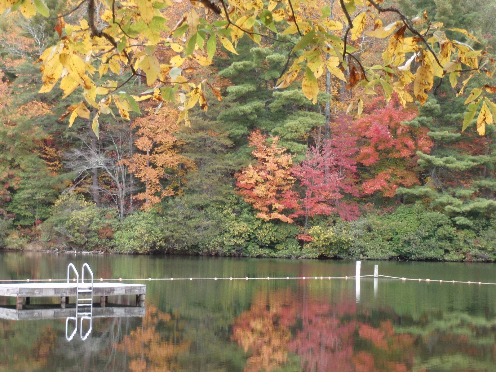 Yellow hickory leaves over red and orange maples, with the whole hillside reflected in a small lake.