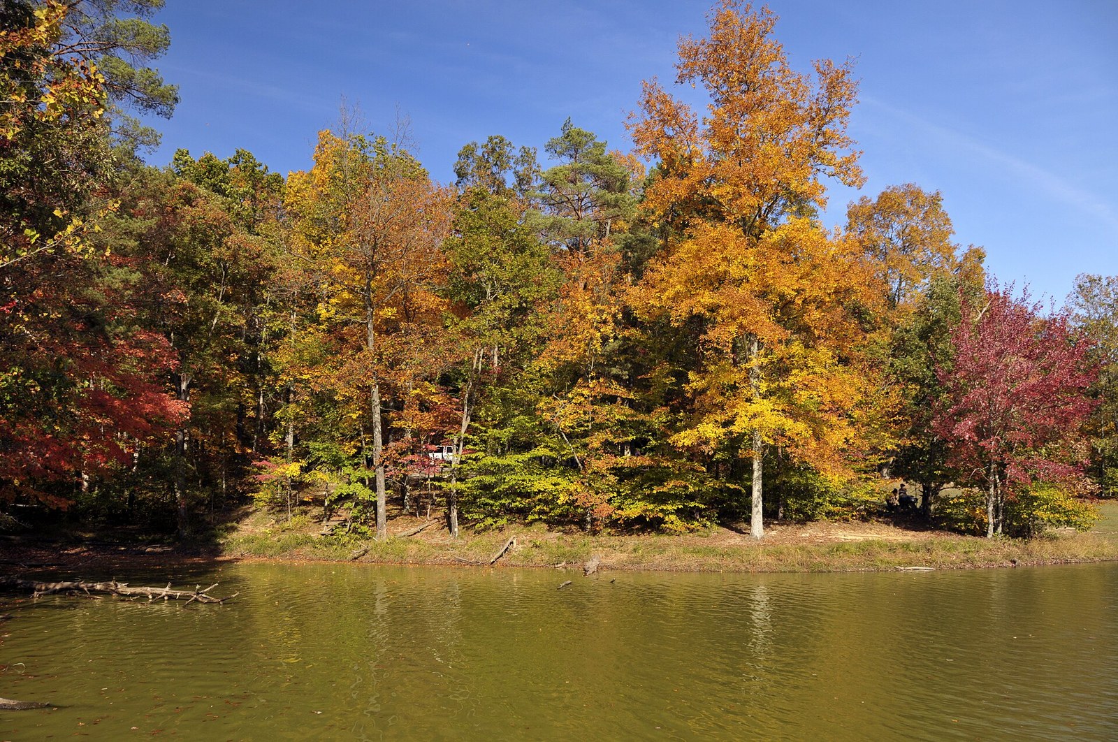 Orange, yellow and red trees along the shore of a quiet lake under a blue sky.