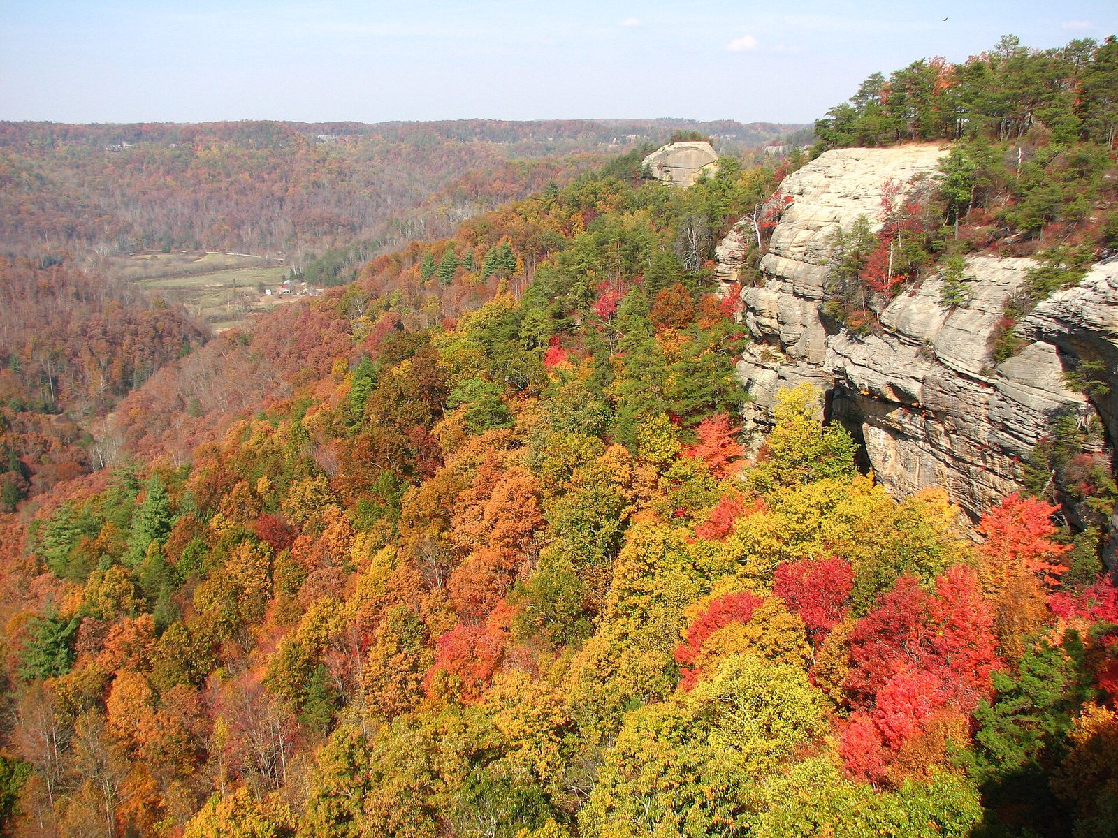 A sandstone cliff above a valley filled with red, orange, yellow and green trees.