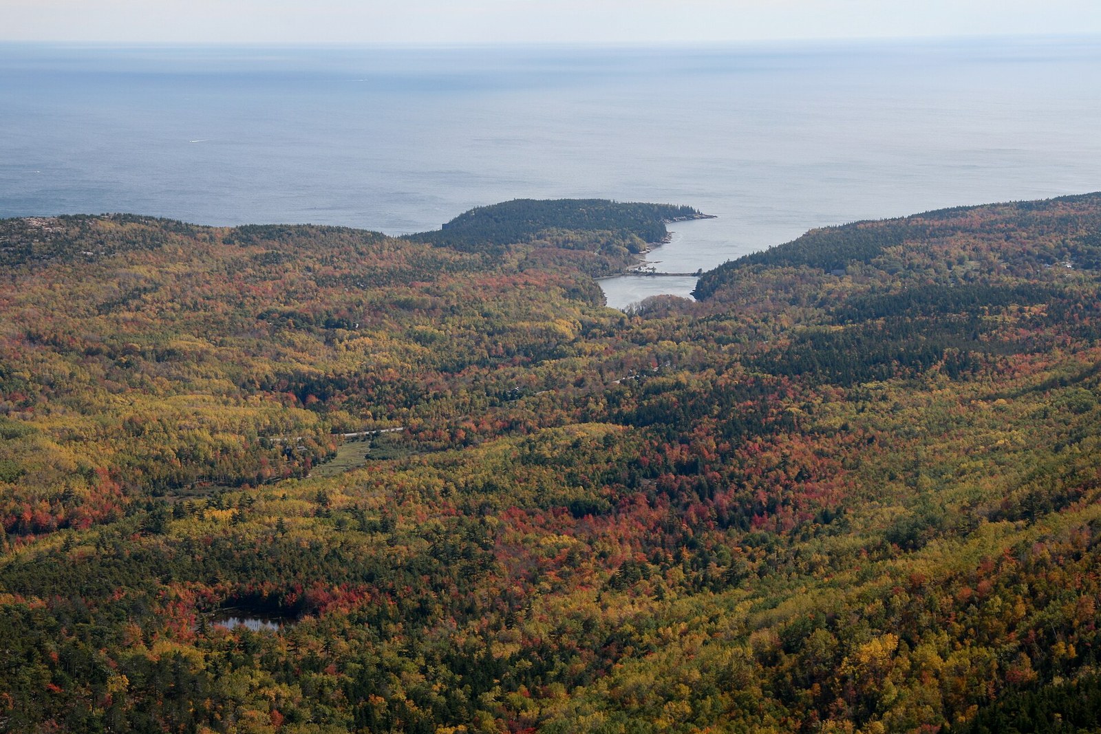 Forest in red, gold and green rolling down to a narrow inlet and the open sea, seen from high above.