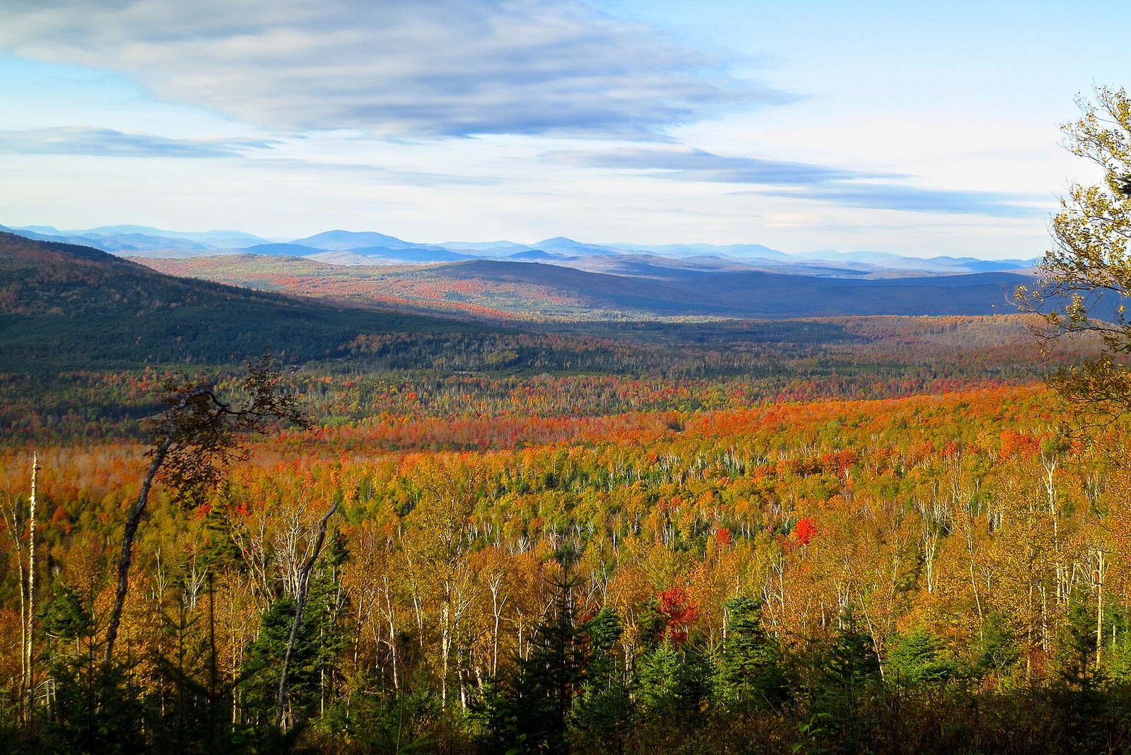 A wide valley of orange, gold and red trees under a pale sky, with blue ridgelines far off.