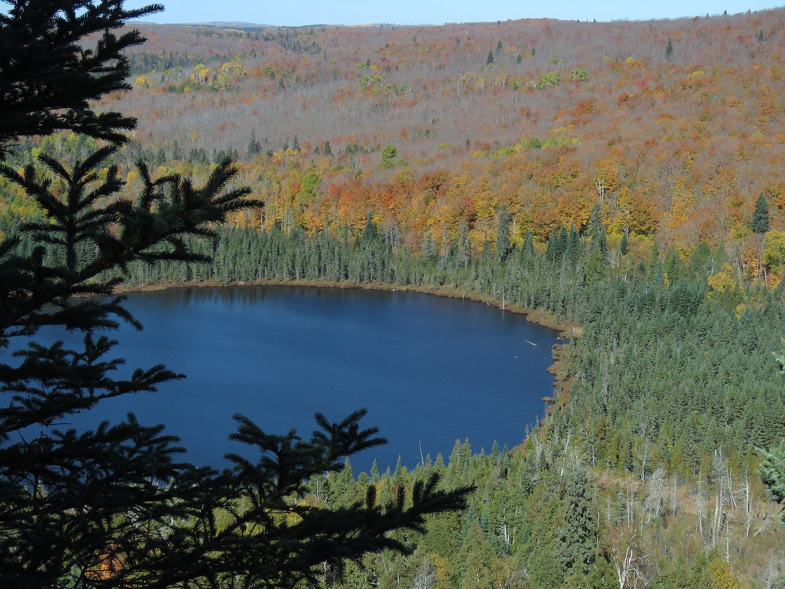 A hillside of orange, red and yellow forest sweeping down to a small deep blue lake framed by dark spruce branches.