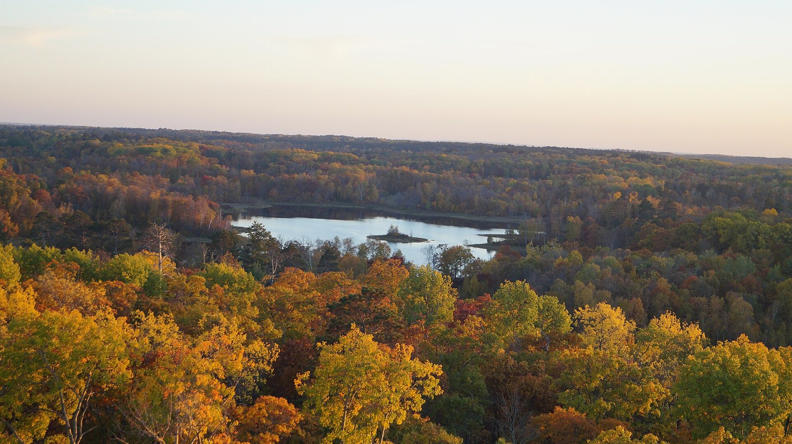 A forest of gold, orange and green trees seen from above, with a small lake in the distance under a pale sky.