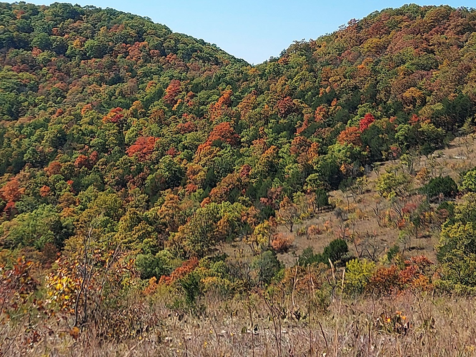 Hillsides of red, orange and green trees above a grassy glade.