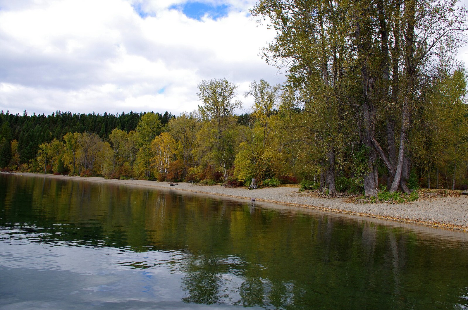 Yellow and green cottonwoods along a gravel lakeshore, with calm water reflecting the trees under a cloudy sky.