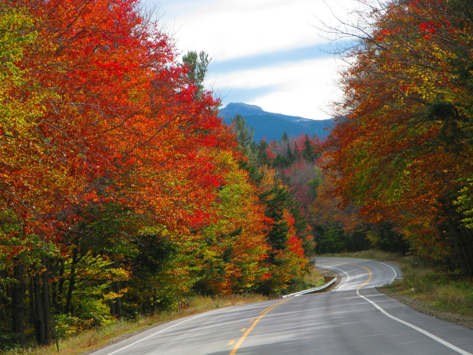 A road winding between trees in scarlet, orange and yellow, with a mountain ahead.
