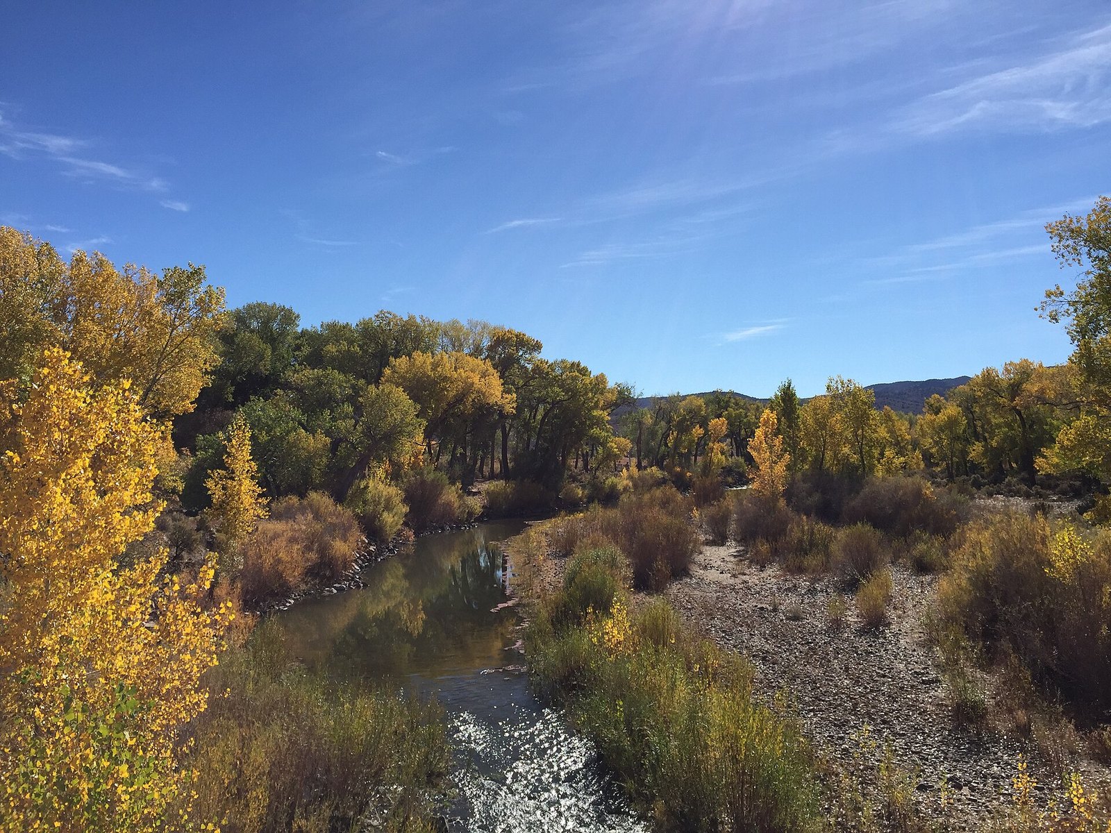 A small river with gold and green trees along both banks and a gravel bar, under a blue sky.