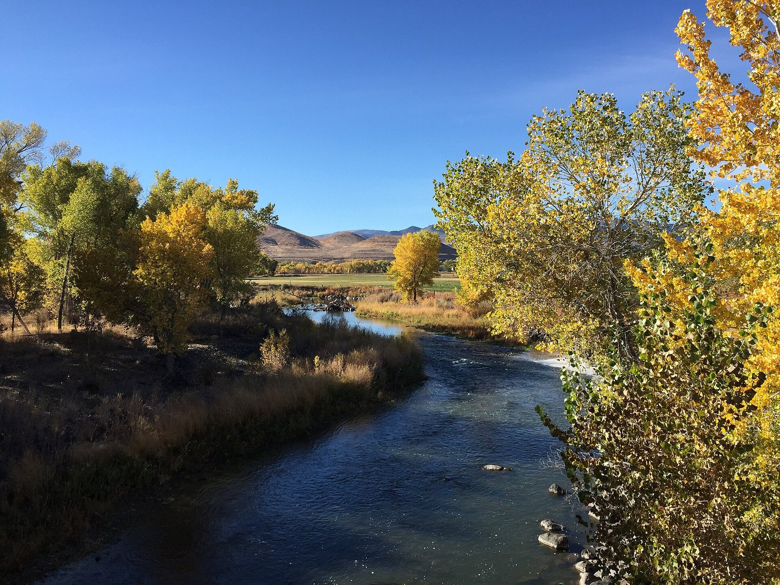 A clear river bending between banks of gold and yellow-green trees, with dry hills in the distance.