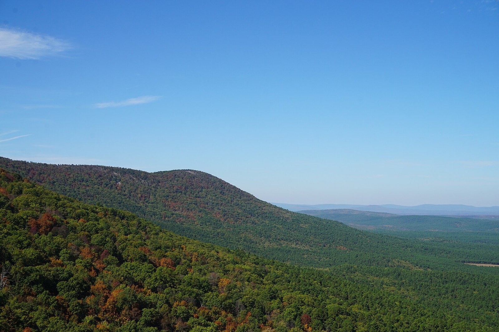 A forested ridge of the Ouachita Mountains under clear blue sky, with patches of orange and red among the green.