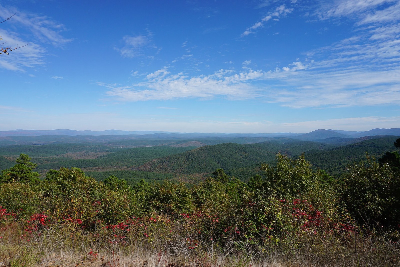 Red sumac and yellow shrubs along a ridgetop, with blue ridgelines running to the horizon.