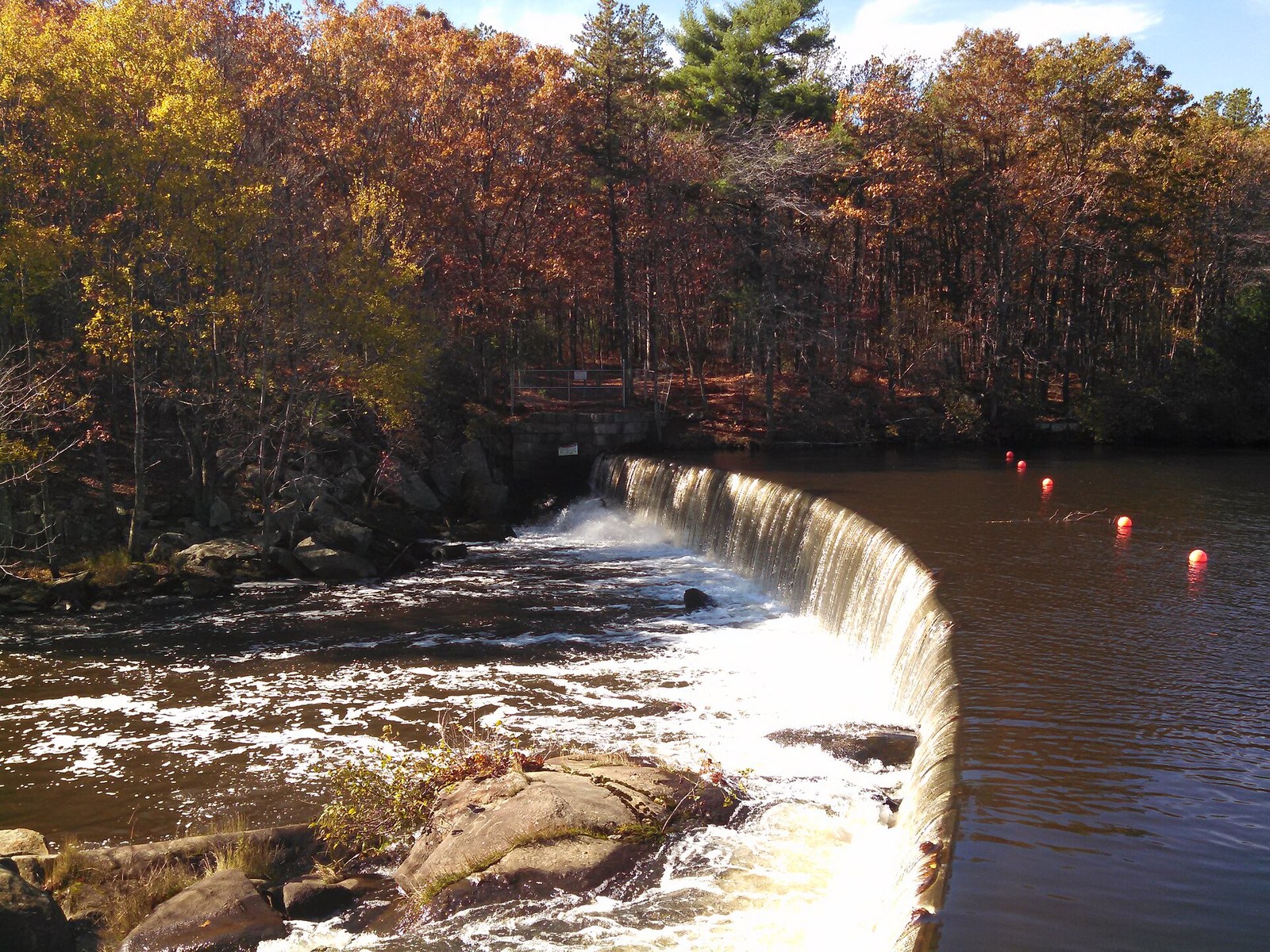 Water spilling over a curved dam on a river, with a hillside of orange, gold and green trees behind.