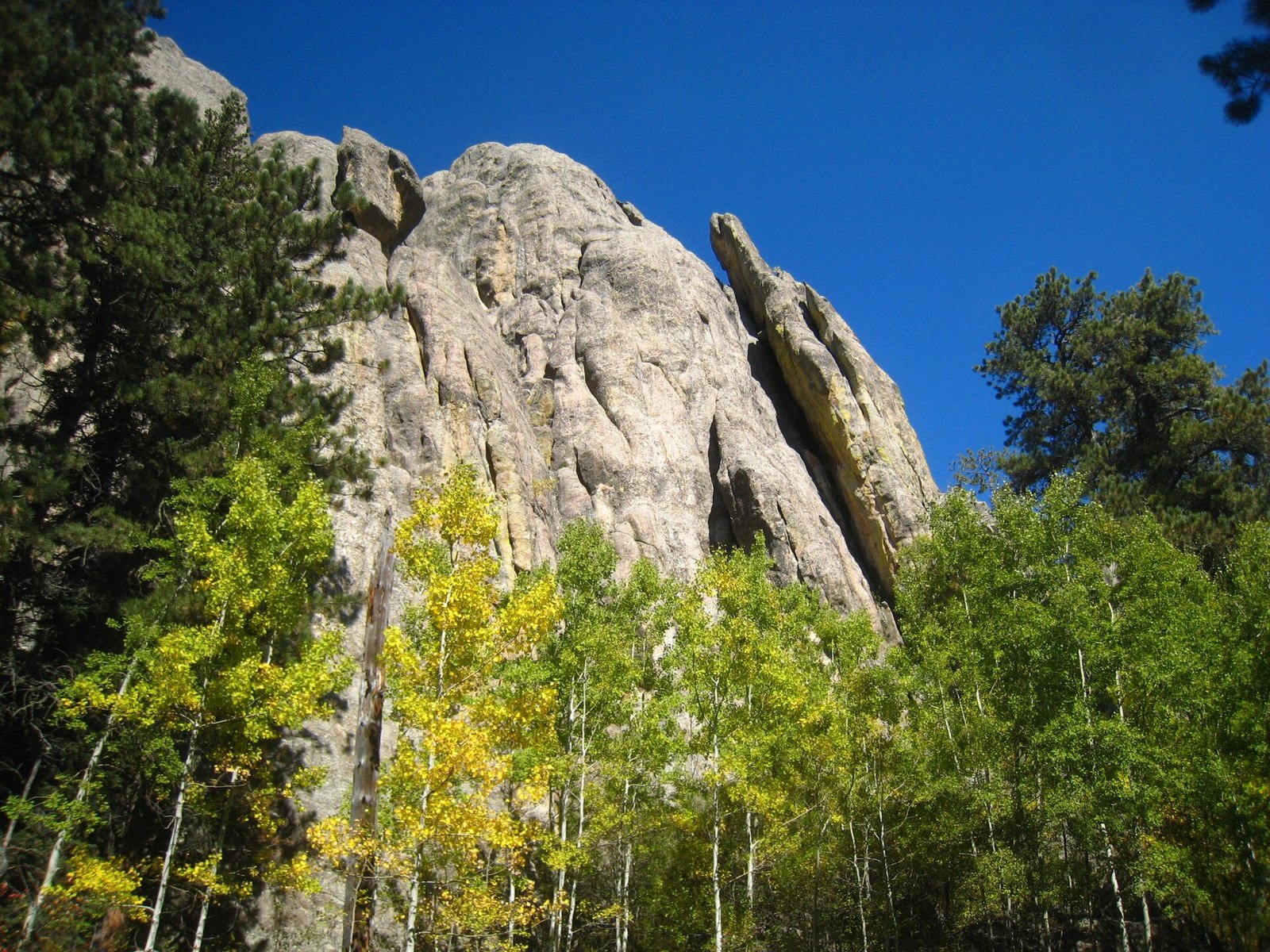 Yellow and green aspens below a tall granite spire against a deep blue sky.