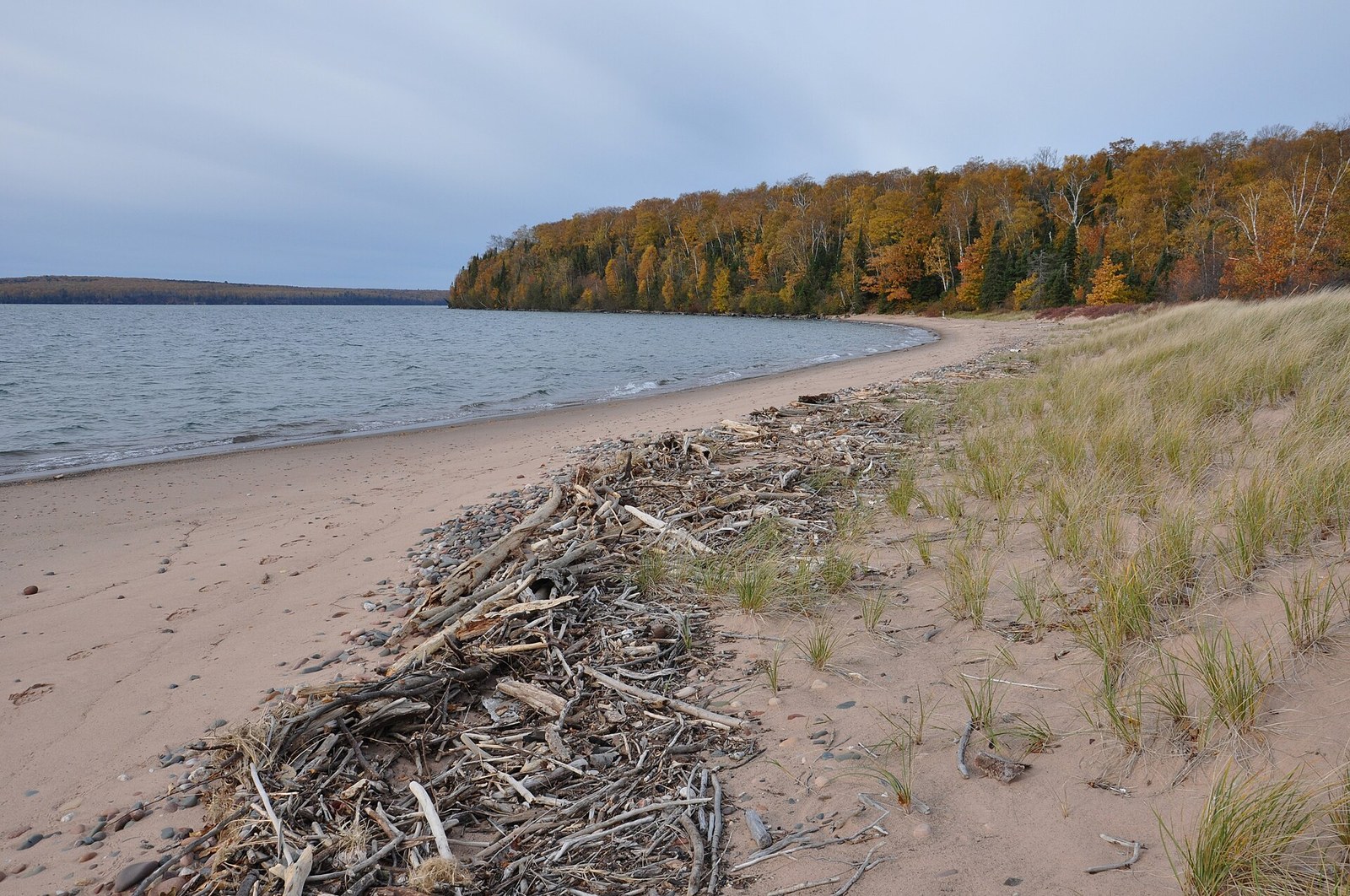A sandy beach with driftwood and dune grass beside a lake, with a shoreline forest of orange and yellow trees beyond.