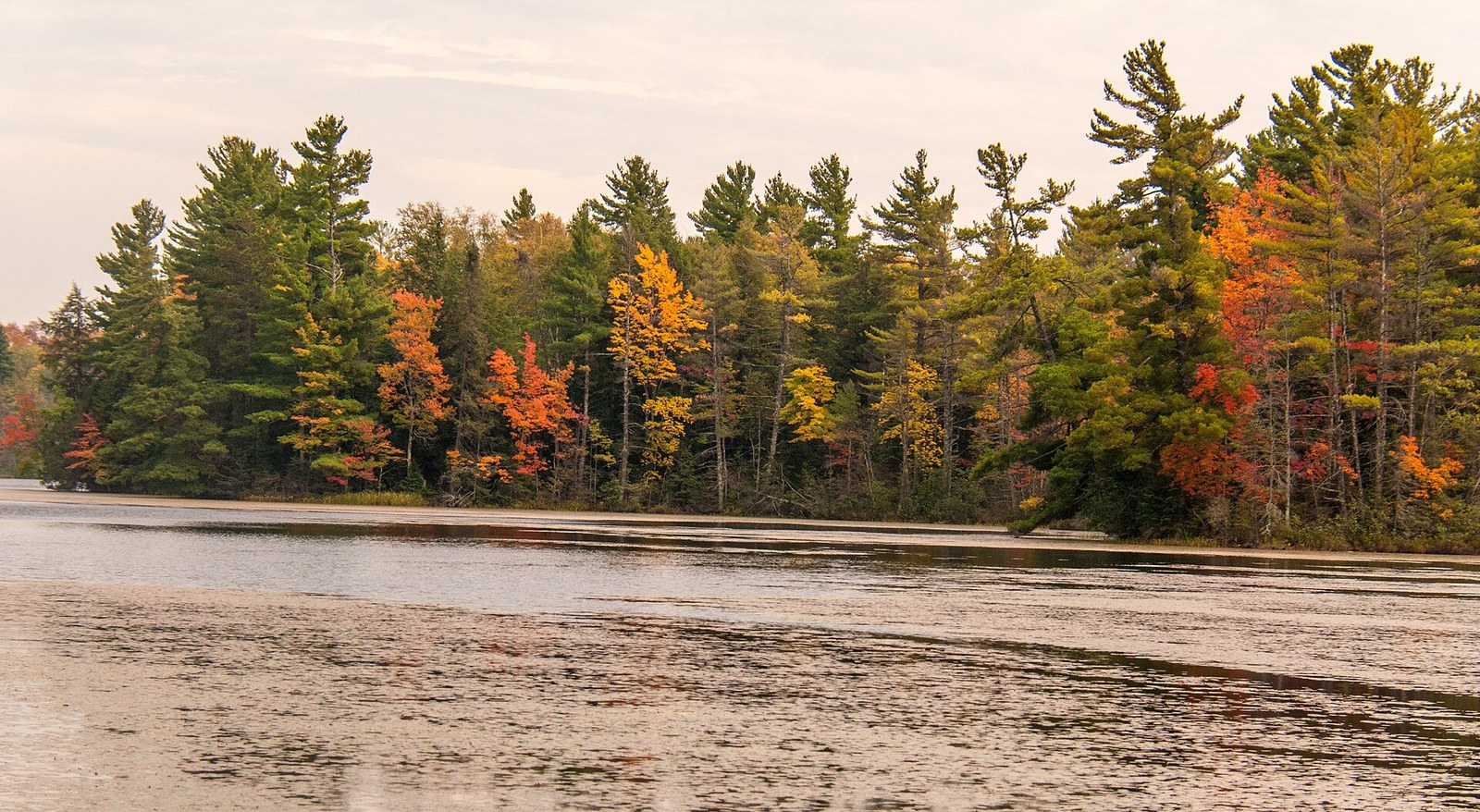 Pines and hardwoods in orange, red and yellow along the shore of a still lake under a pale sky.